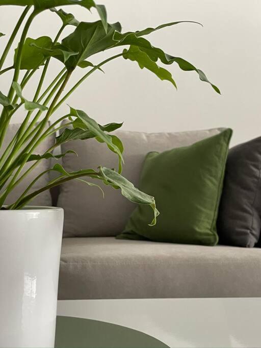 Studio En Palermo Con Jardin Privado Y Parrilla * Ciudad Autónoma de Buenos Aires